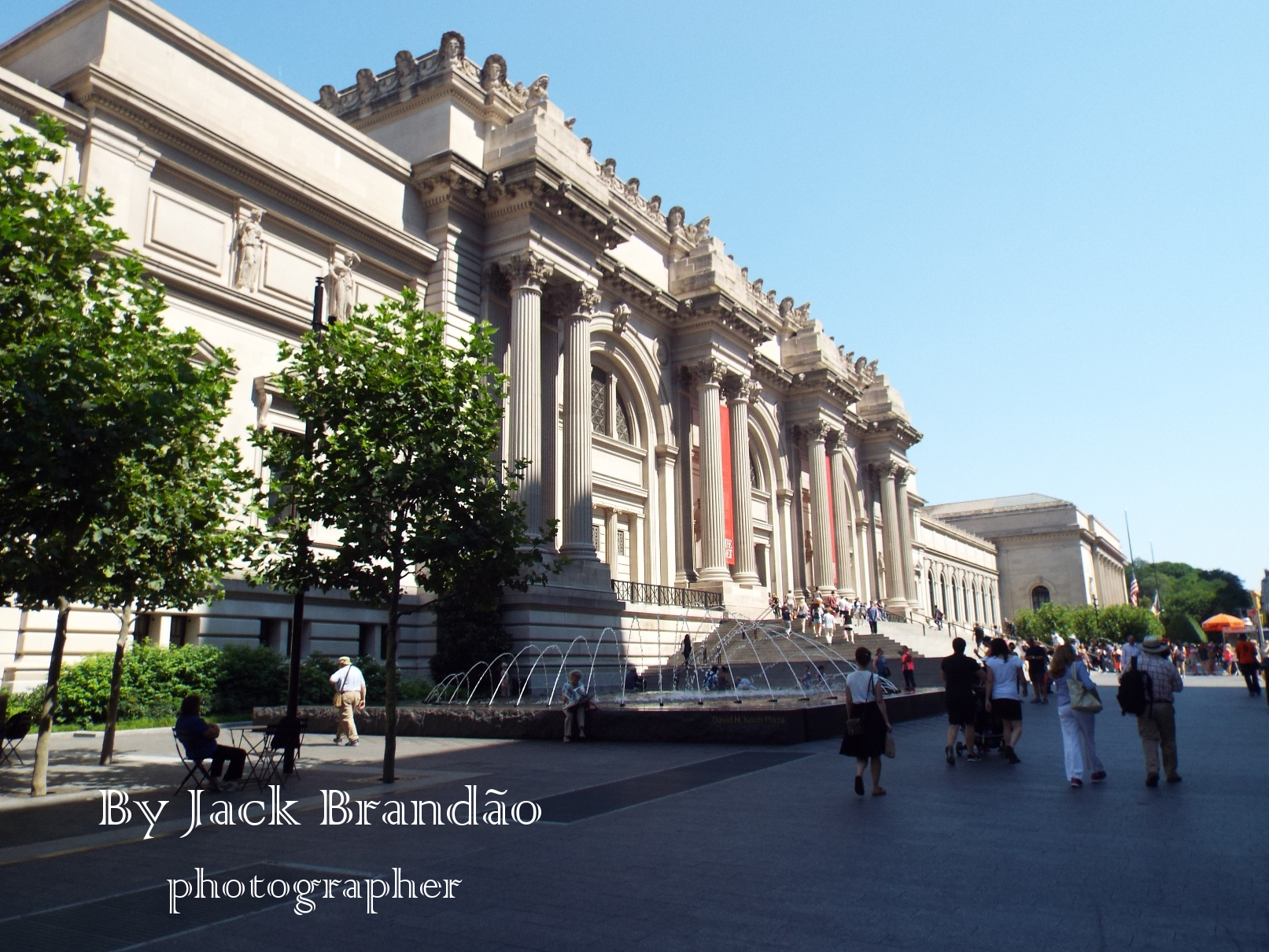  People; Park; Picnic; Grass; USA; New York; ant; Prof. Dr. Jack Brandão; photographer, writer, photos for sale, jackbran