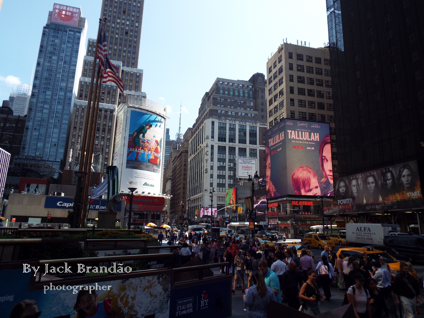  People; Park; Picnic; Grass; USA; New York; ant; Prof. Dr. Jack Brandão; photographer, writer, photos for sale, jackbran