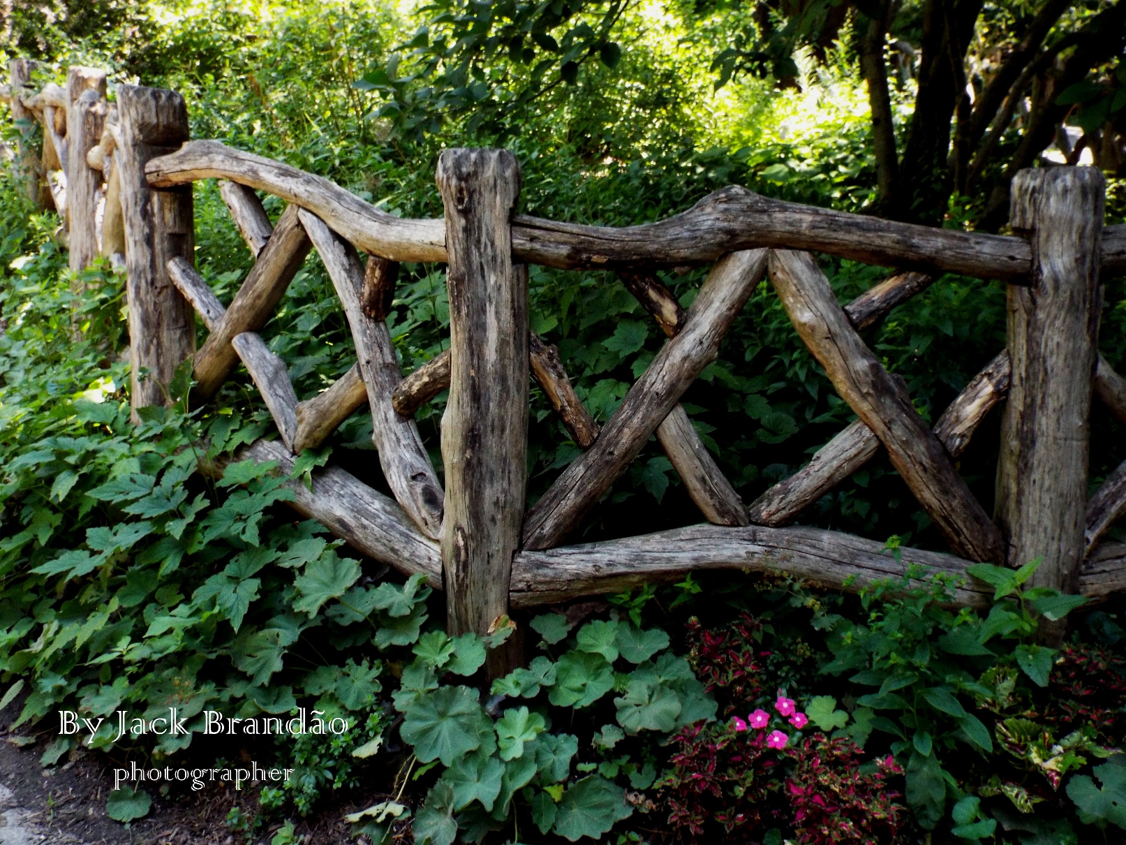  People; Park; Picnic; Grass; USA; New York; ant; Prof. Dr. Jack Brandão; photographer, writer, photos for sale, jackbran